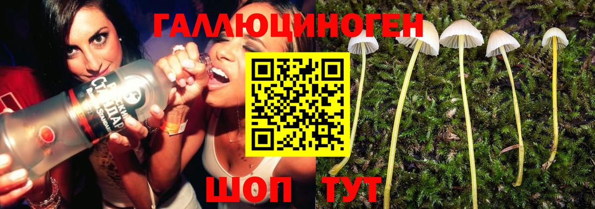 Псилоцибиновые грибы MAGIC MUSHROOMS Усолье-Сибирское