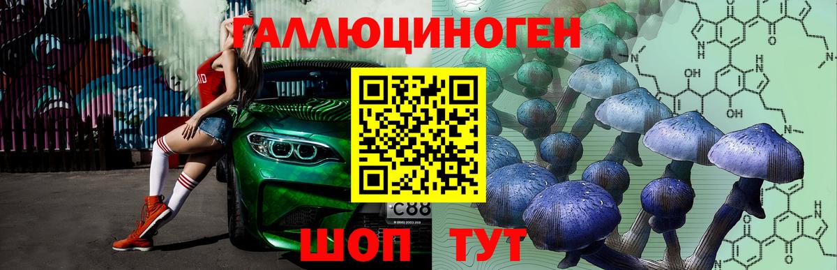 Усолье-Сибирское  Псилоцибиновые грибы мицелий  где можно купить   Вход с VPN 